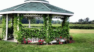 Photos of 12 Corners Vineyards