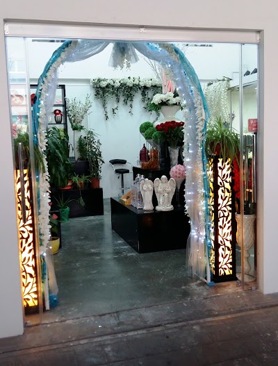 Photos of Heavens Garden General Trading LLC