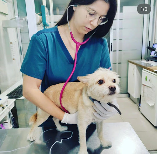 Clínica Veterinària El Castell