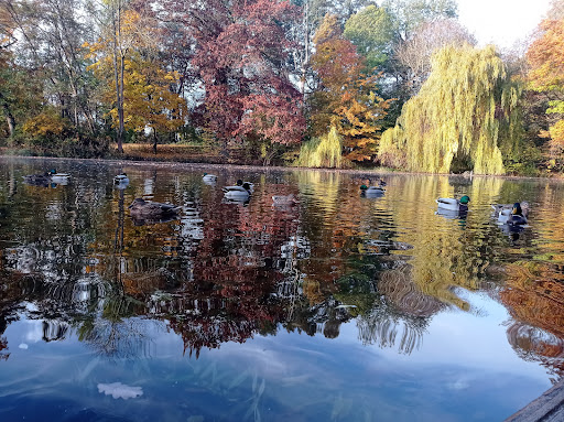 Nordhausen Park - Visual