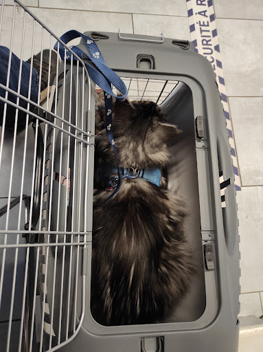 Veterinary Clinic Baeckeroot - Thumbnail