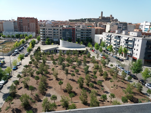 Bosc urbà - Visual