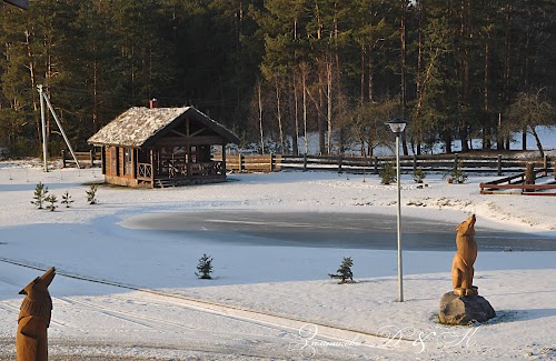 Кафе «Vilkasalė»