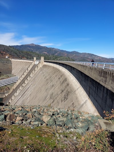 Shasta-Trinity National Forest