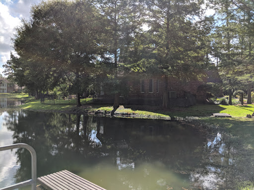 Shadow Point Park - Visual