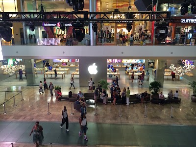 Photos of Apple Fashion Show