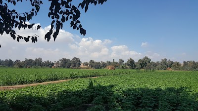 Photos of مسجد الاخلاص