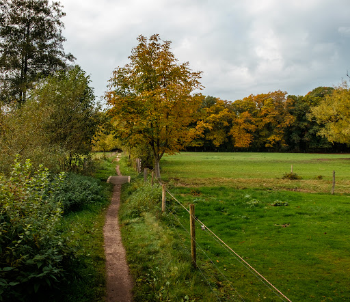 Landgoed Quadenoord - Netherlands