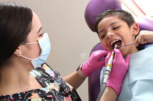 Odontopediatra Dra. Daniela Ahumada - Thumbnail