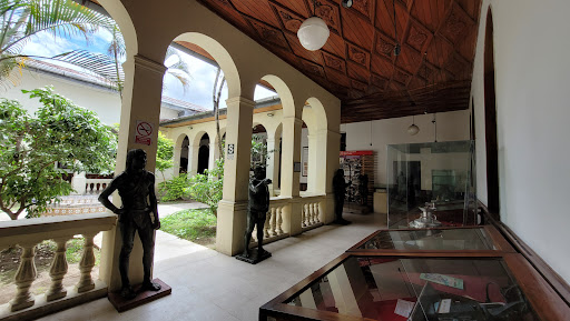 Museo Amazónico - Visual