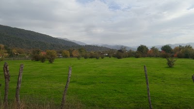 Photos of Hope Lake