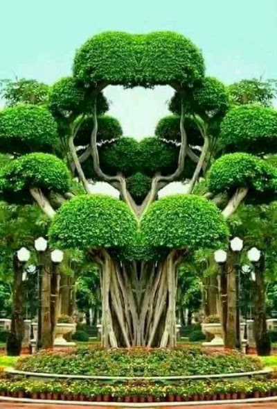 park
