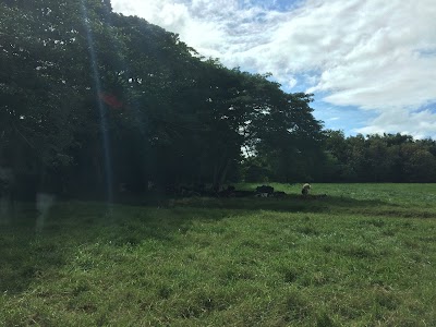 Photos of Rancho Espa&ntilde;a