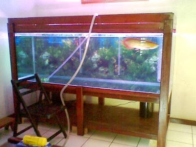 Photos of Palm Aquarium Dasana