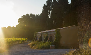 Photo n°23 de Fondation La Castille à Solliès-Ville (Association ou organisation)