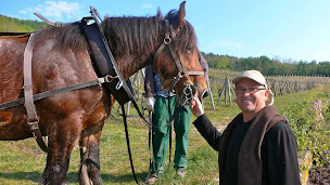 Photo n°38 de EARL Domaine Jean-Paul Schmitt Vigneron, Alsace à Scherwiller (Caviste)