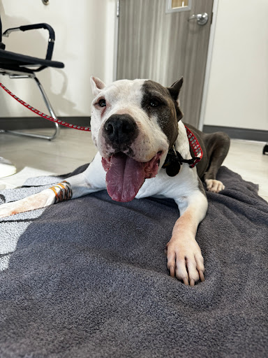 Riverpark Pet Hospital Gallery - United States