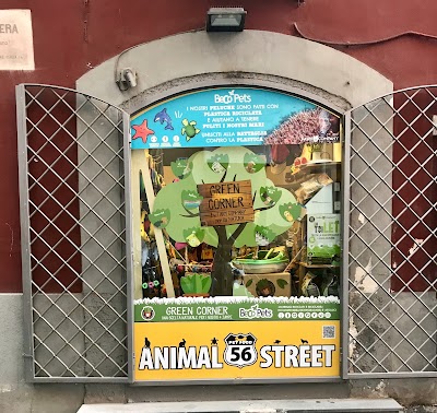 56 Animal Street