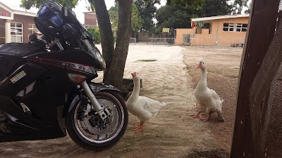 Photos of MOUNT Pleasant Hotel Podo