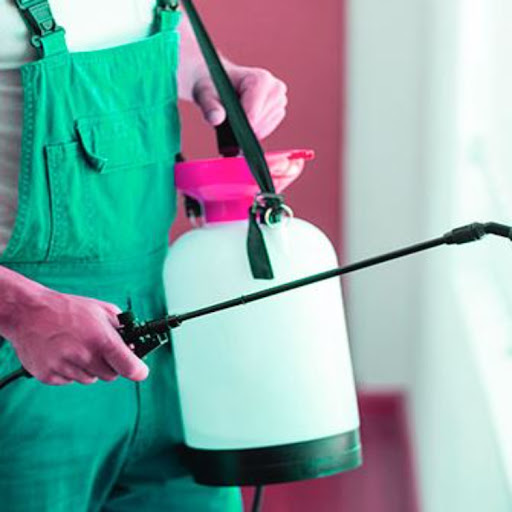 Fumigadora Alfa Panamá Control De Plagas