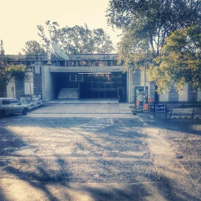 university