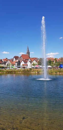 Gartenschau Eppingen 2022 - Thumbnail