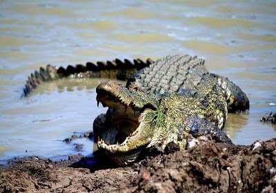 Photos of Panama Wewa