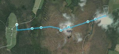 Photos of Tammsaare - Kodru raba - J&auml;rva-Madise matkarada