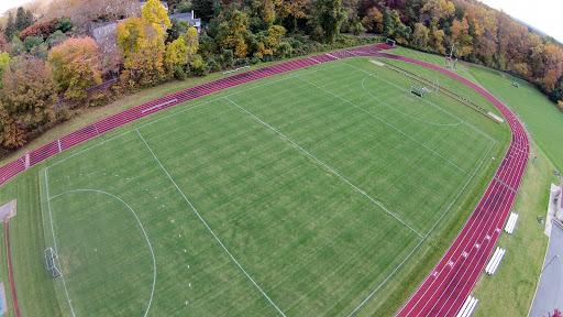 Serviam Field - Visual