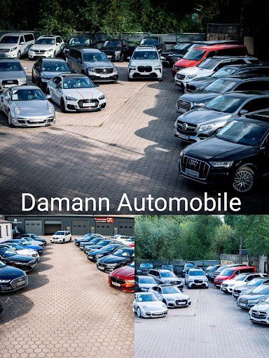 Automobile Damann