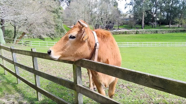 Parque e Jardim da Fundação Serralves