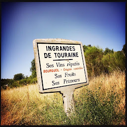 Photo n°28 de VINCENT CUISINIER DE CAMPAGNE à Coteaux-sur-Loire (Caviste)