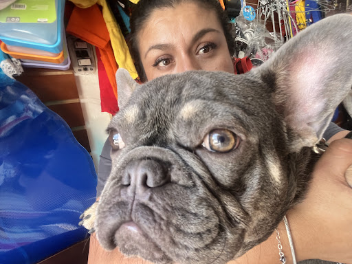 Veterinaria & Estética Canina M.V.Z Marisol Cruz Castillejos