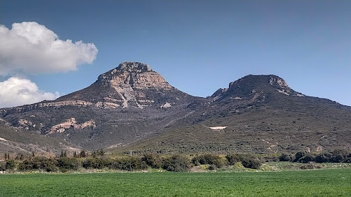 Pico Gratal - Visual