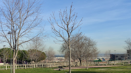 cerro Buenavista Park - Thumbnail