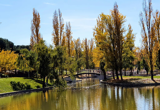 Surtidores del Lago del Parque Central - Thumbnail