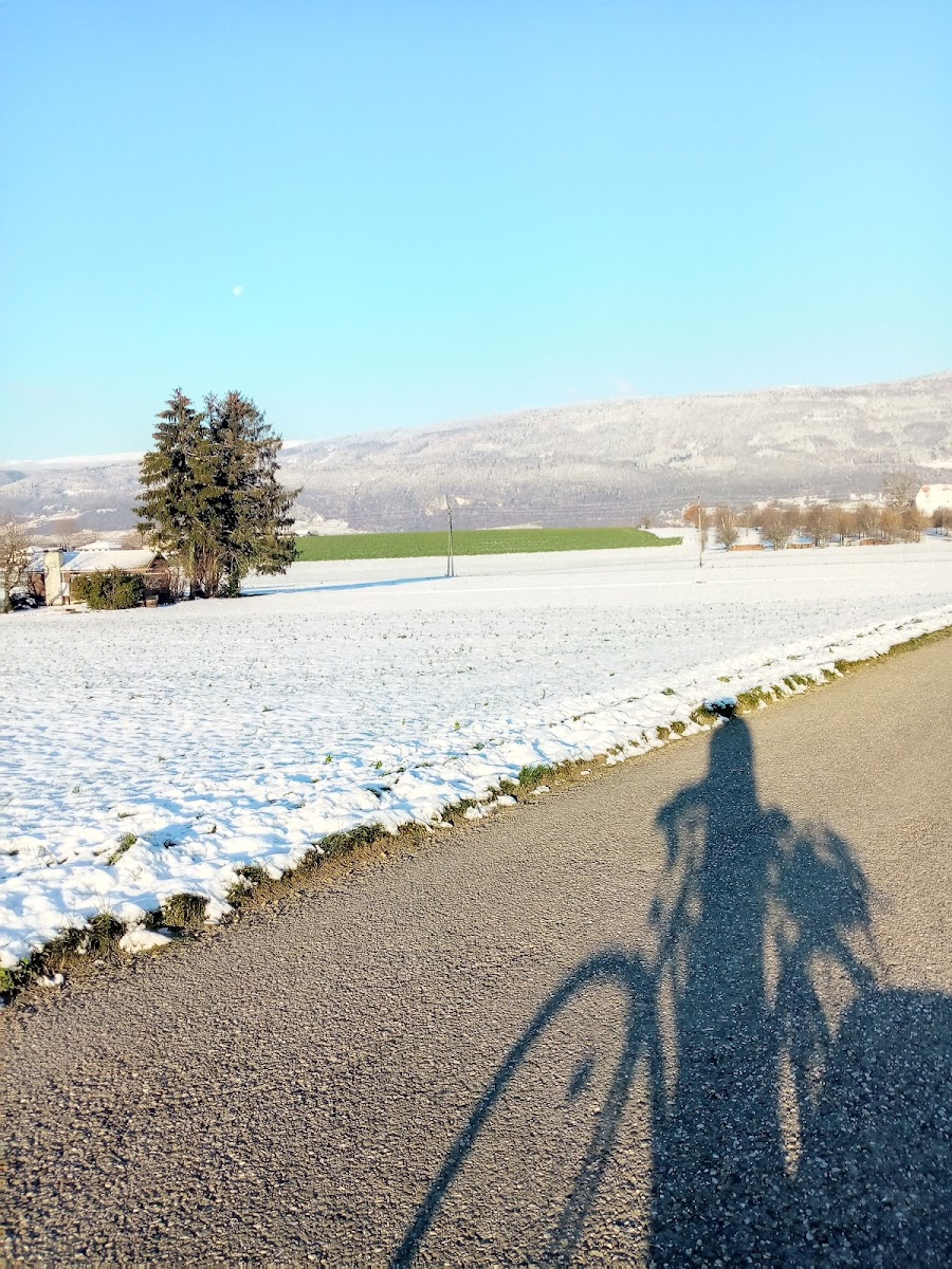 Fahrräderei — photo 11