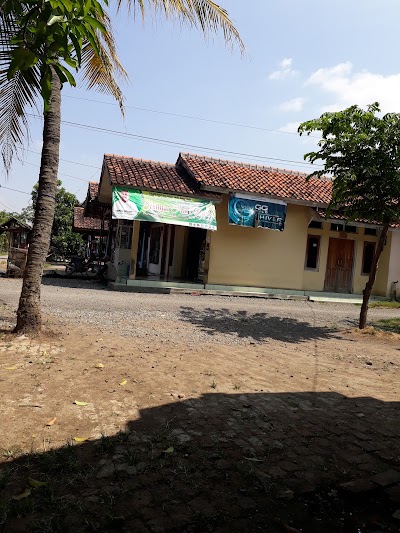 Photos of Temulawak