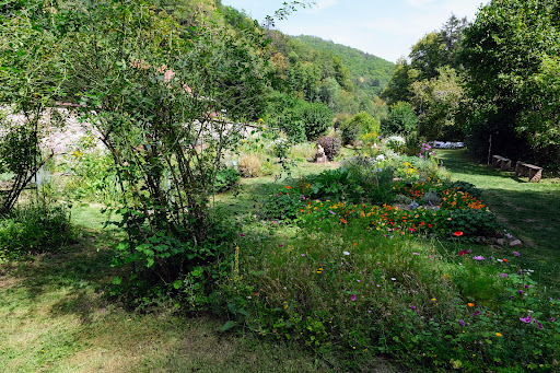 Mittelalterlicher Garten Gallery - France