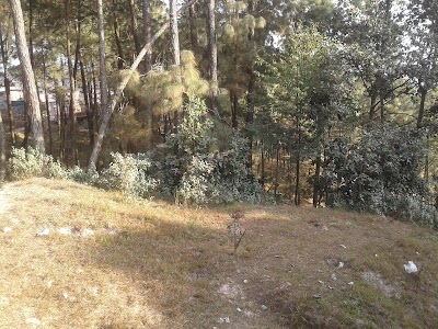 Photos of Chaukot Hostel