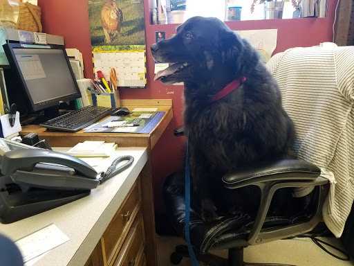 Greers Ferry Veterinary Clinic - Thumbnail