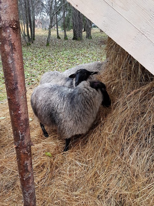 Atpūtas vieta pie Uguņu ezera