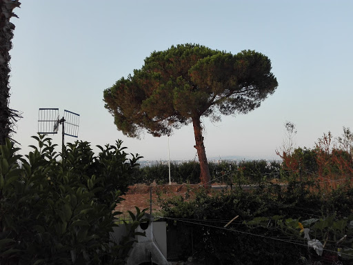 Cotroneo Sergio - Visual