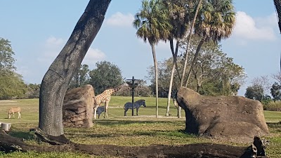 Photos of Busch Gardens Tampa Bay