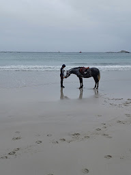 Photo n°13 de ecurie de kergounezoc à Plourin (Centre équestre)