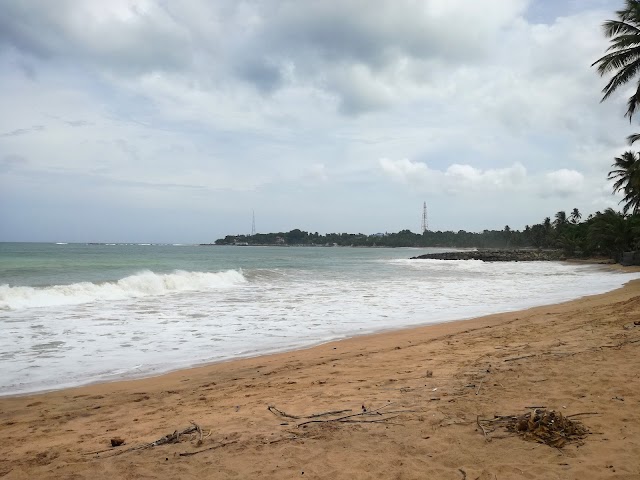 Mangrove Beach
