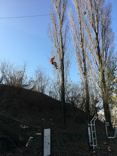 Comentarii opinii despre City Garden Andrzej Ramlau