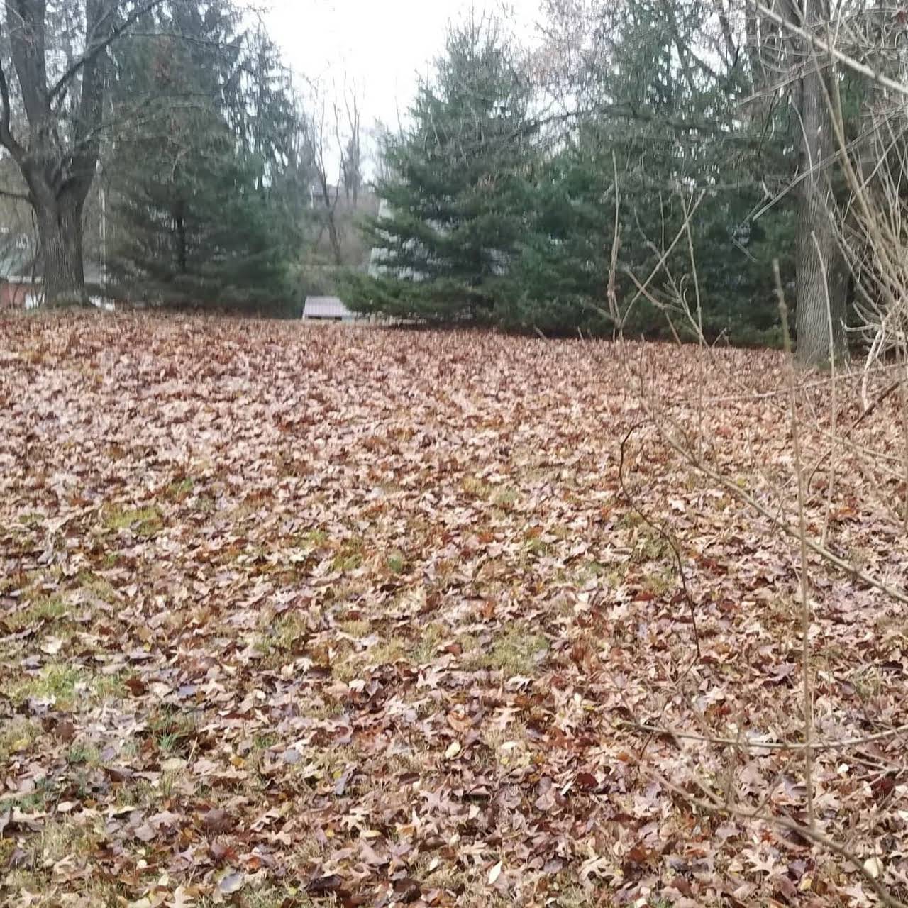 Native Lawn Care LLC - Lawn Care Service in Morgantown