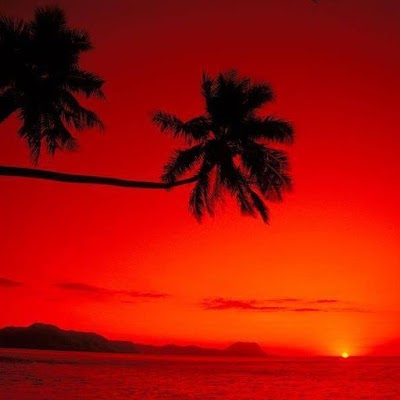 Photos of Vunisea Airport
