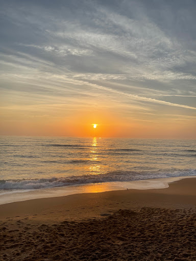 Java Joint Beachside Grill - Thumbnail